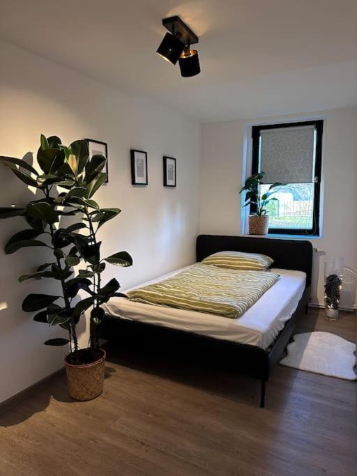 Urban Apartments Weimarer Land Buttelstedt Экстерьер фото